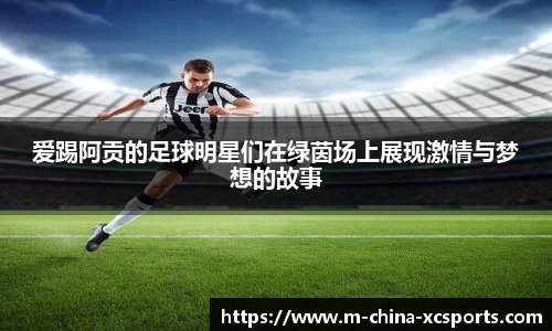 爱踢阿贡的足球明星们在绿茵场上展现激情与梦想的故事